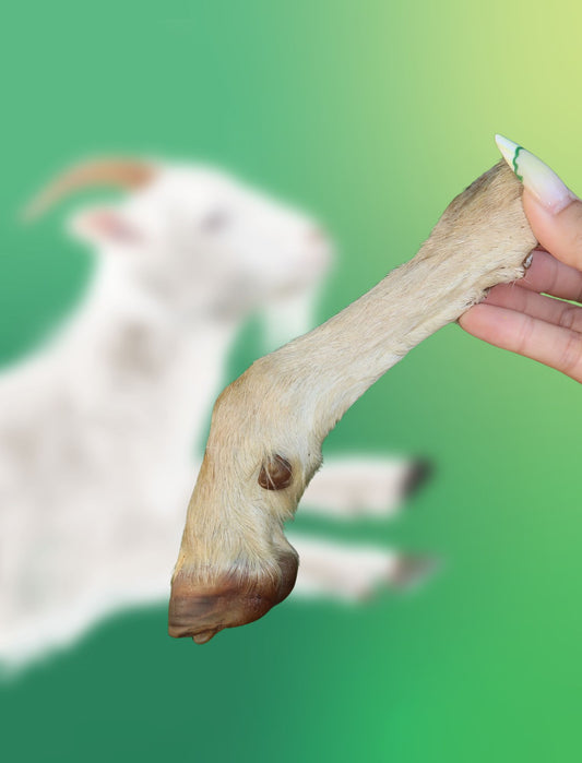 Fuzzy Goat Trotters