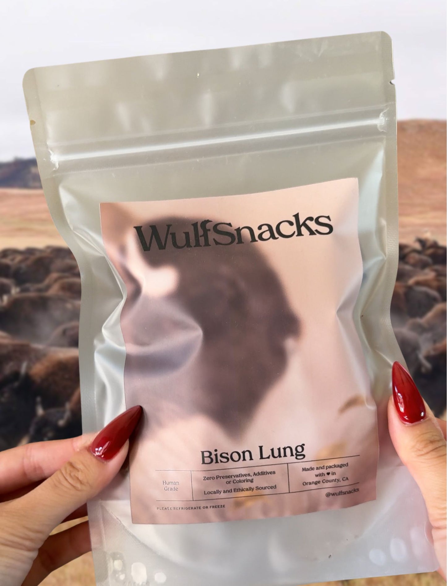 Bison Lung