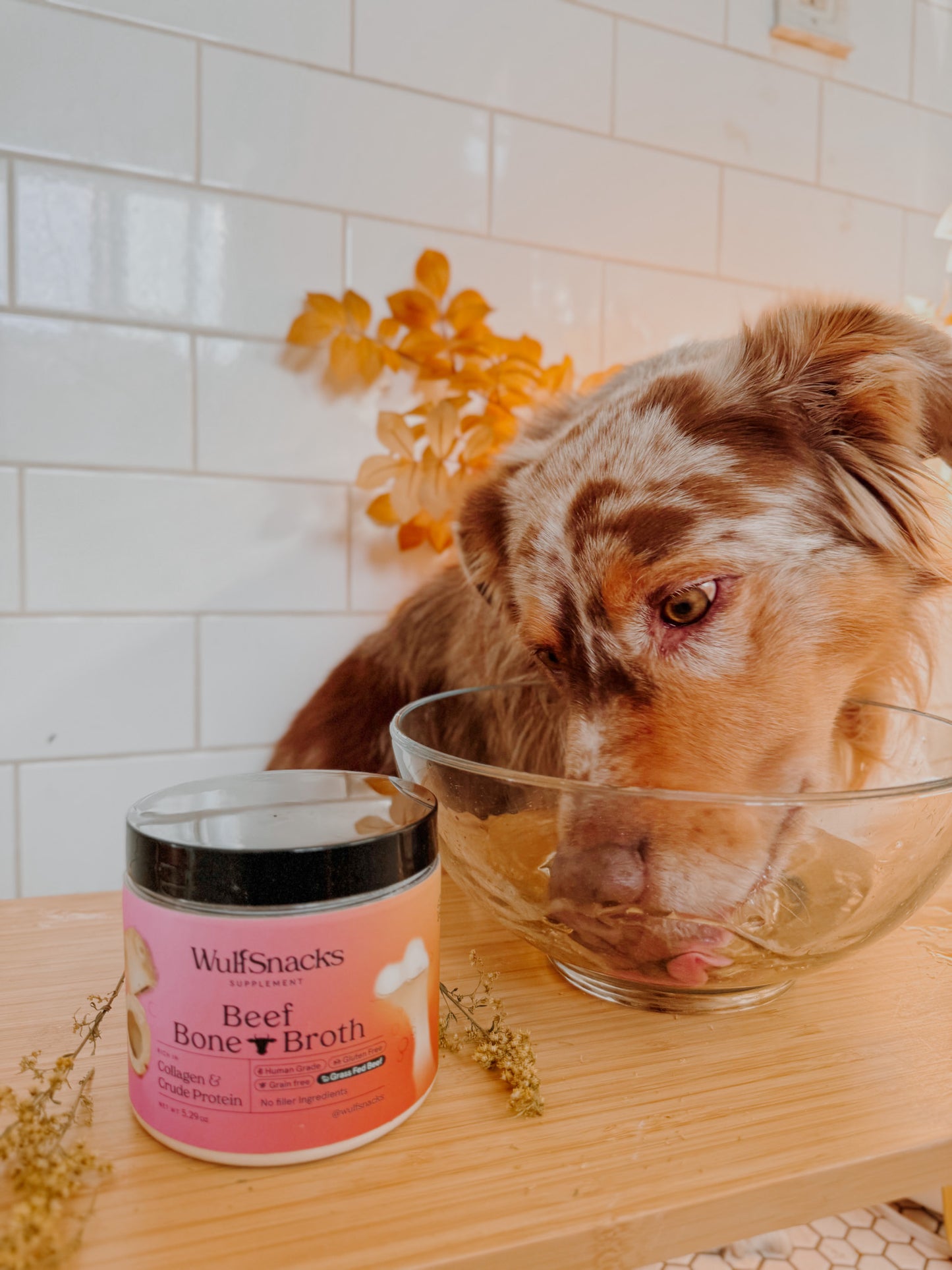 Beef Bone Broth Powder