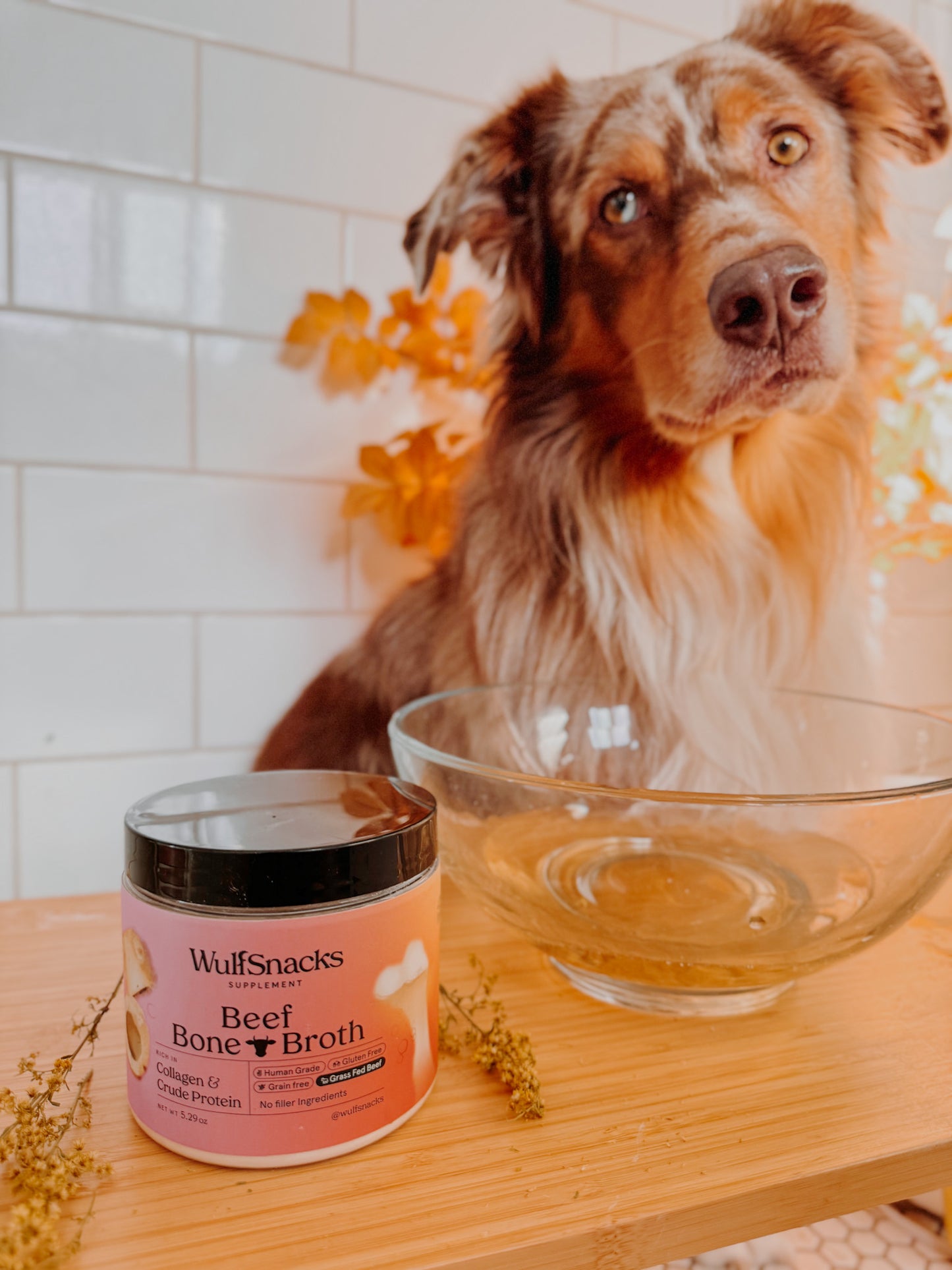 Beef Bone Broth Powder