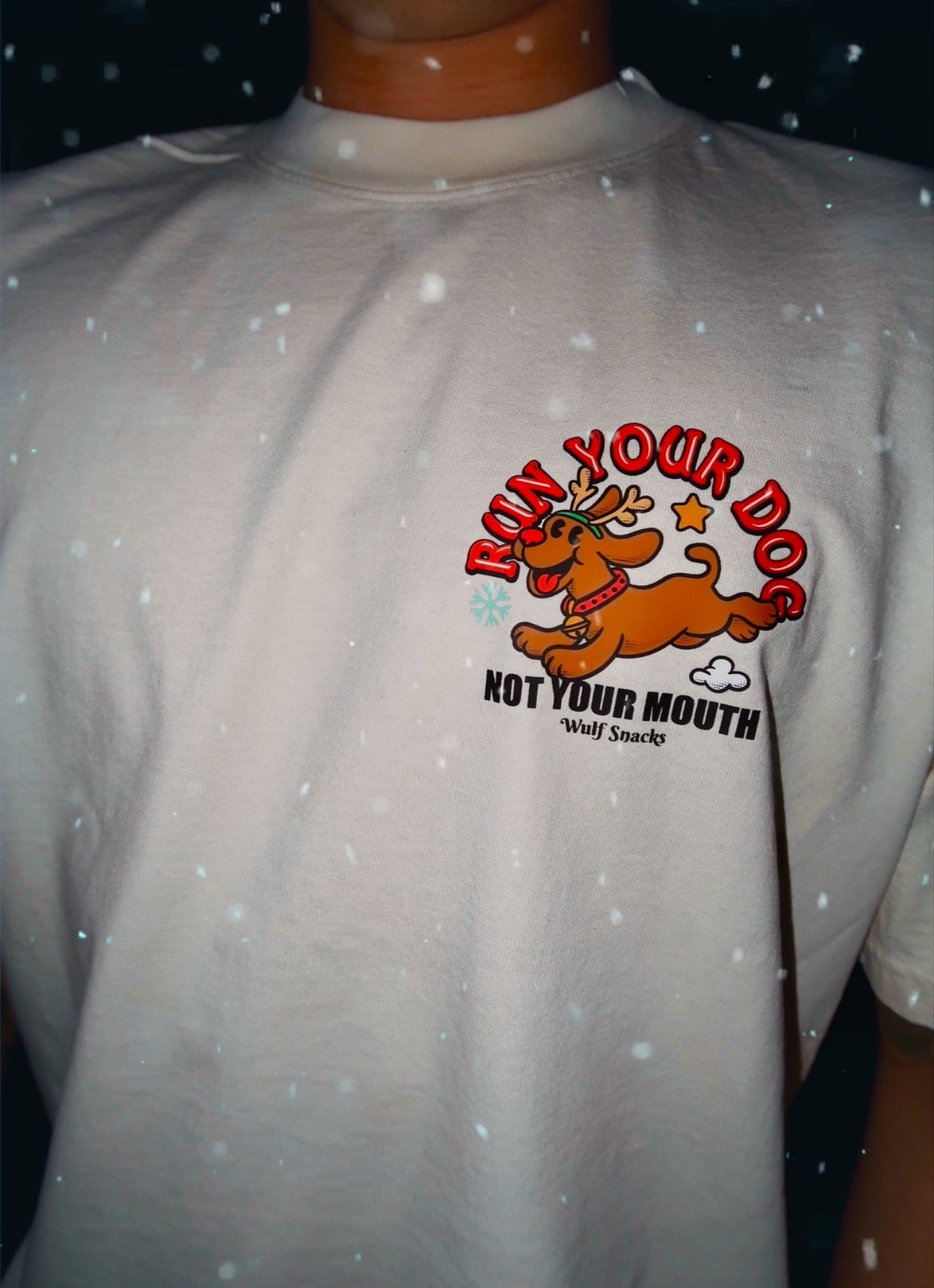 Run Your Dog Holiday Edition T-Shirt