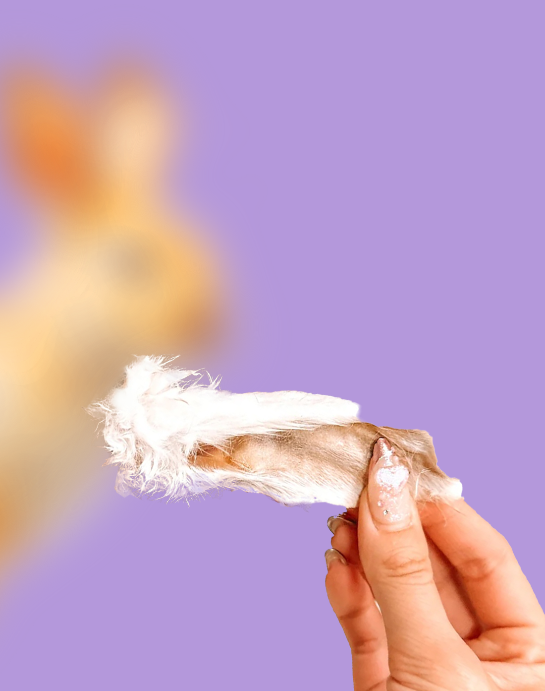 Fuzzy Rabbit Ears