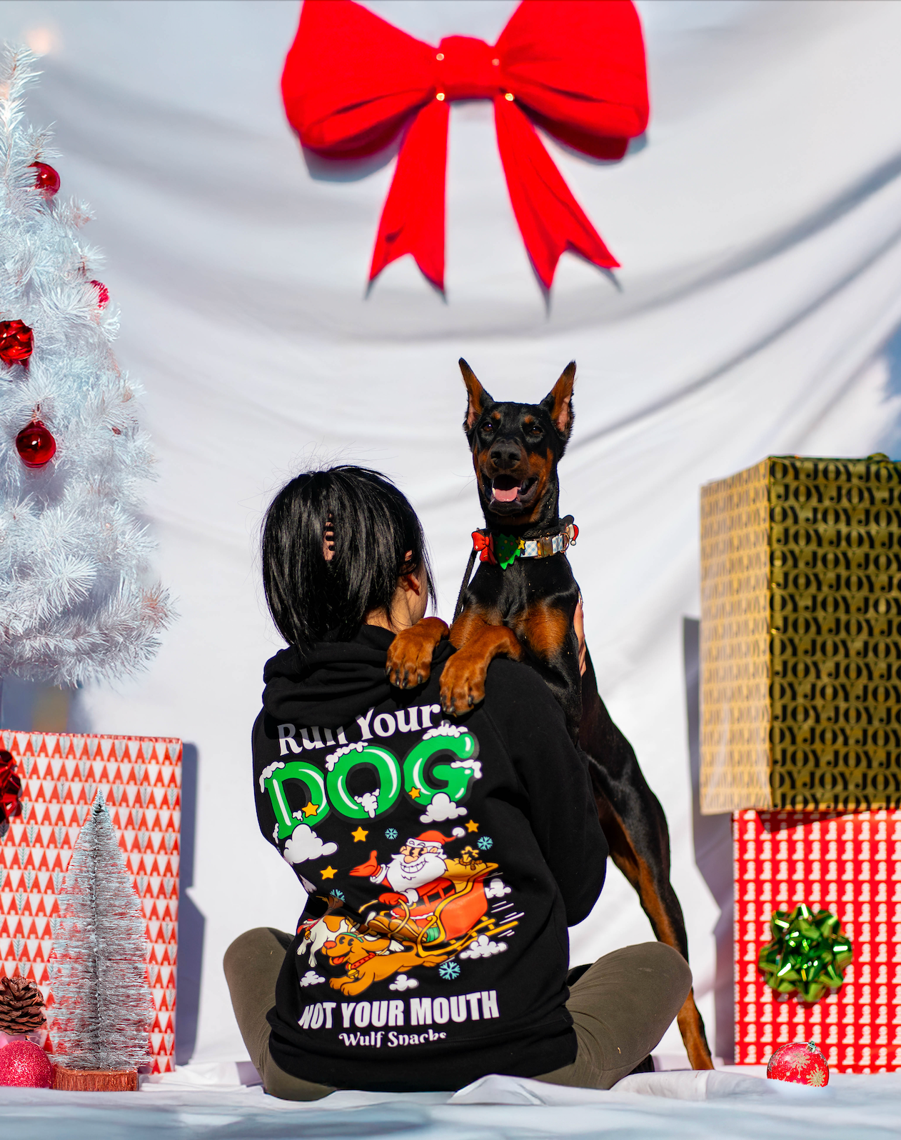 Run Your Dog Holiday Edition Hoodie