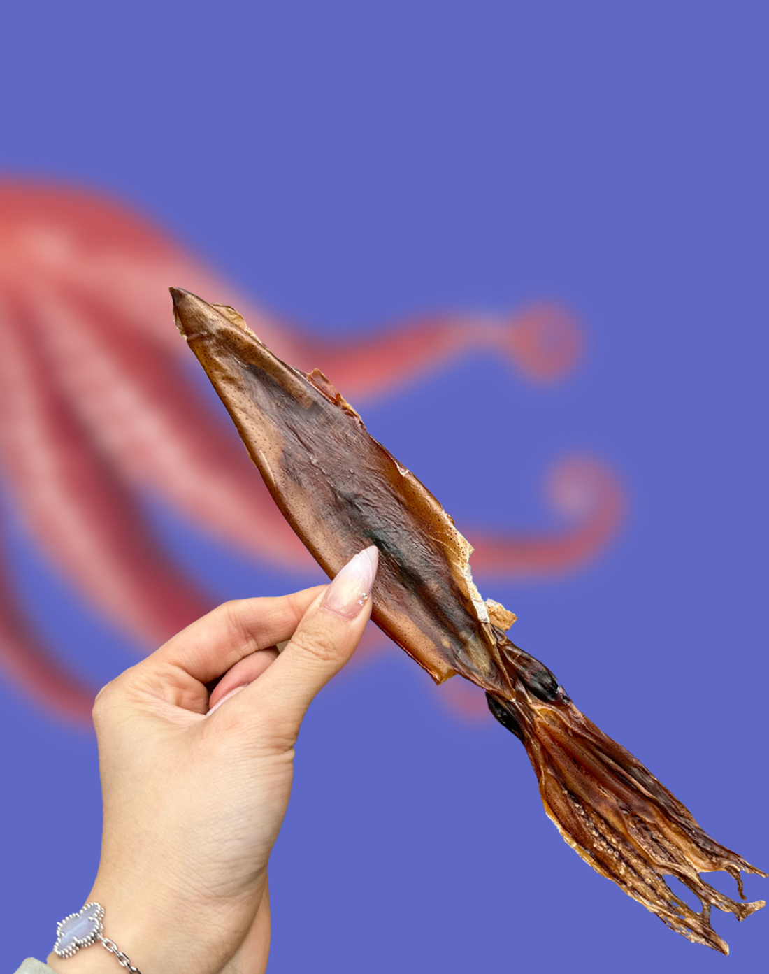 Wild Caught Whole Prey Squid Chips