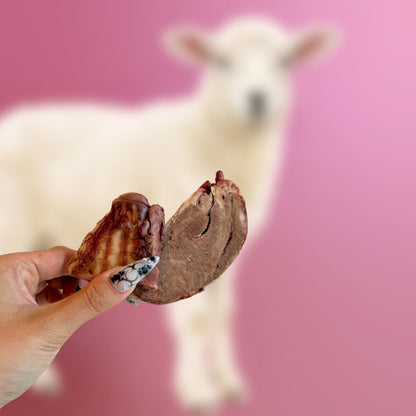 Freeze-Dried Lamb Hearts