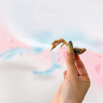 Tiny Talons