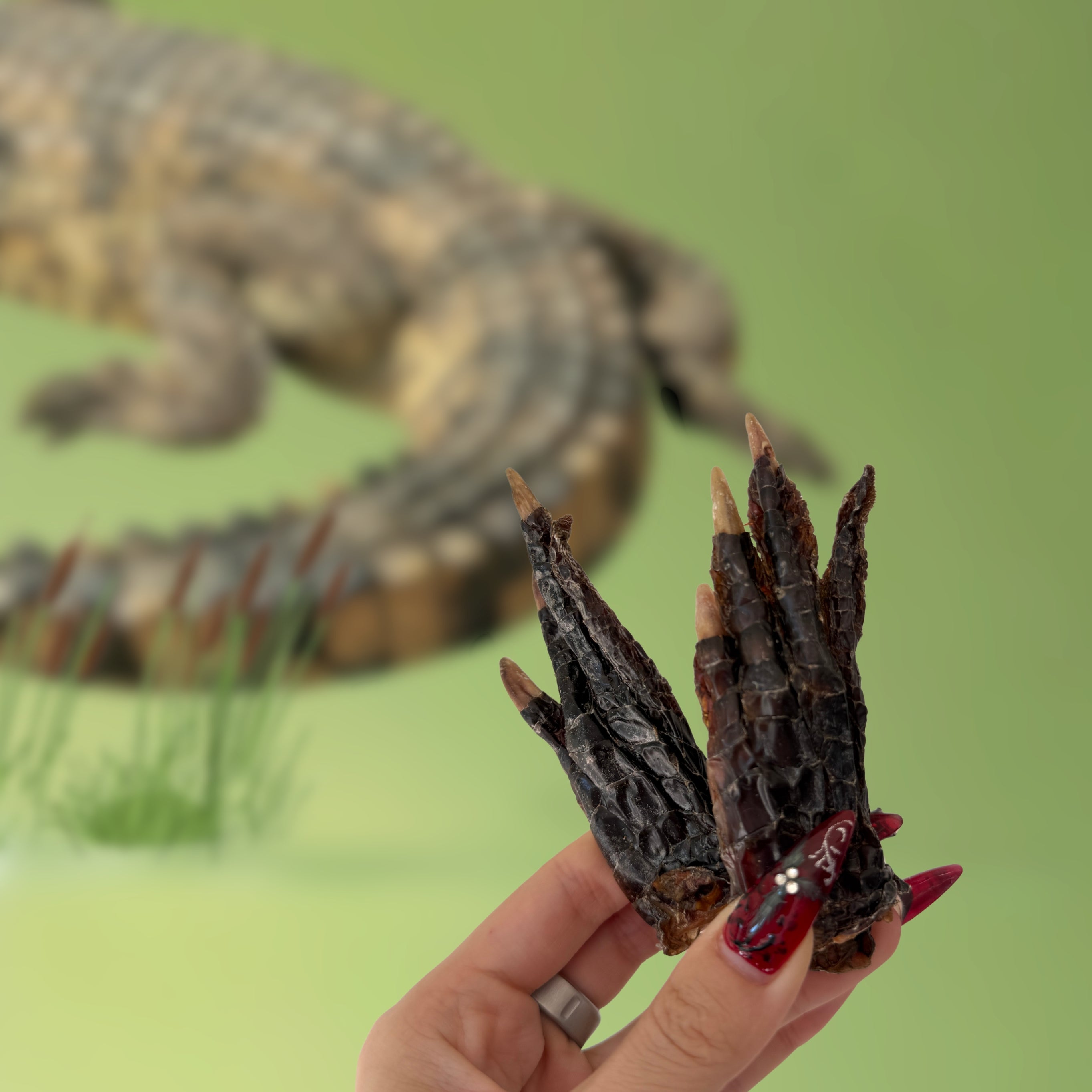 Products – Wulf Snacks