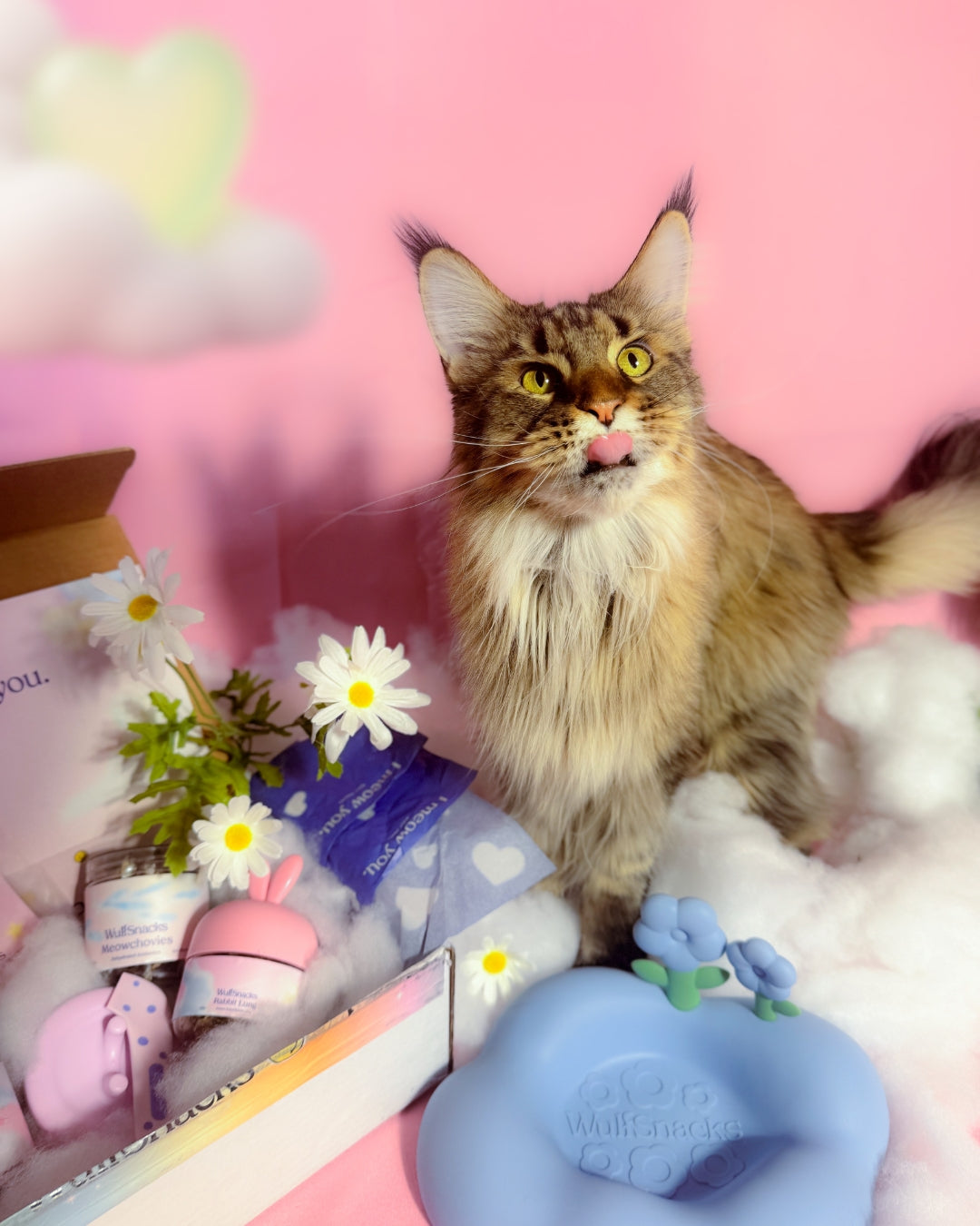 Tail in the Clouds Box
