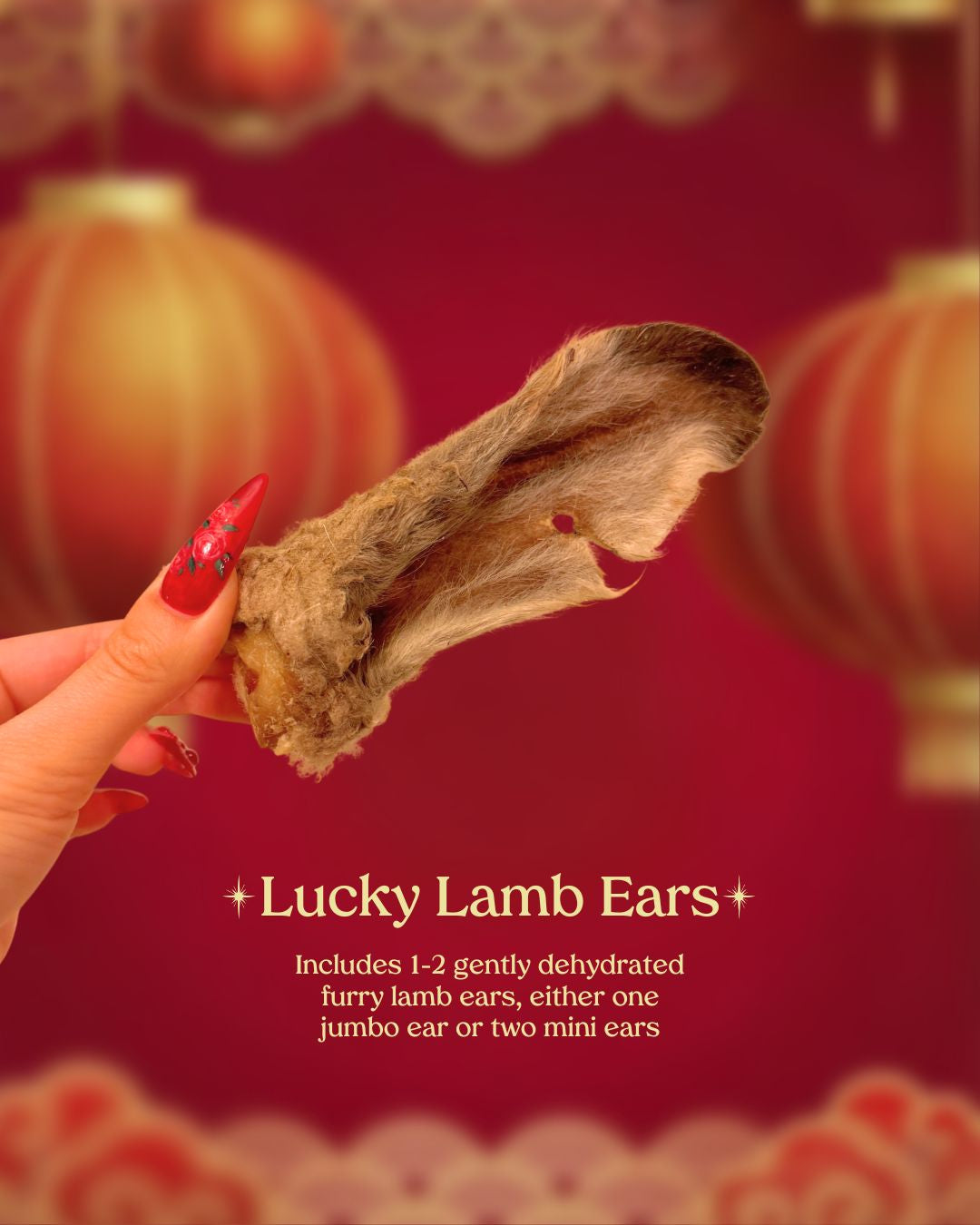 Lunar New Year Grab Bag