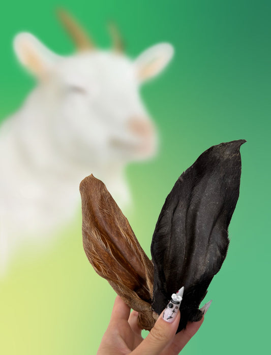 Goat Ear Chews