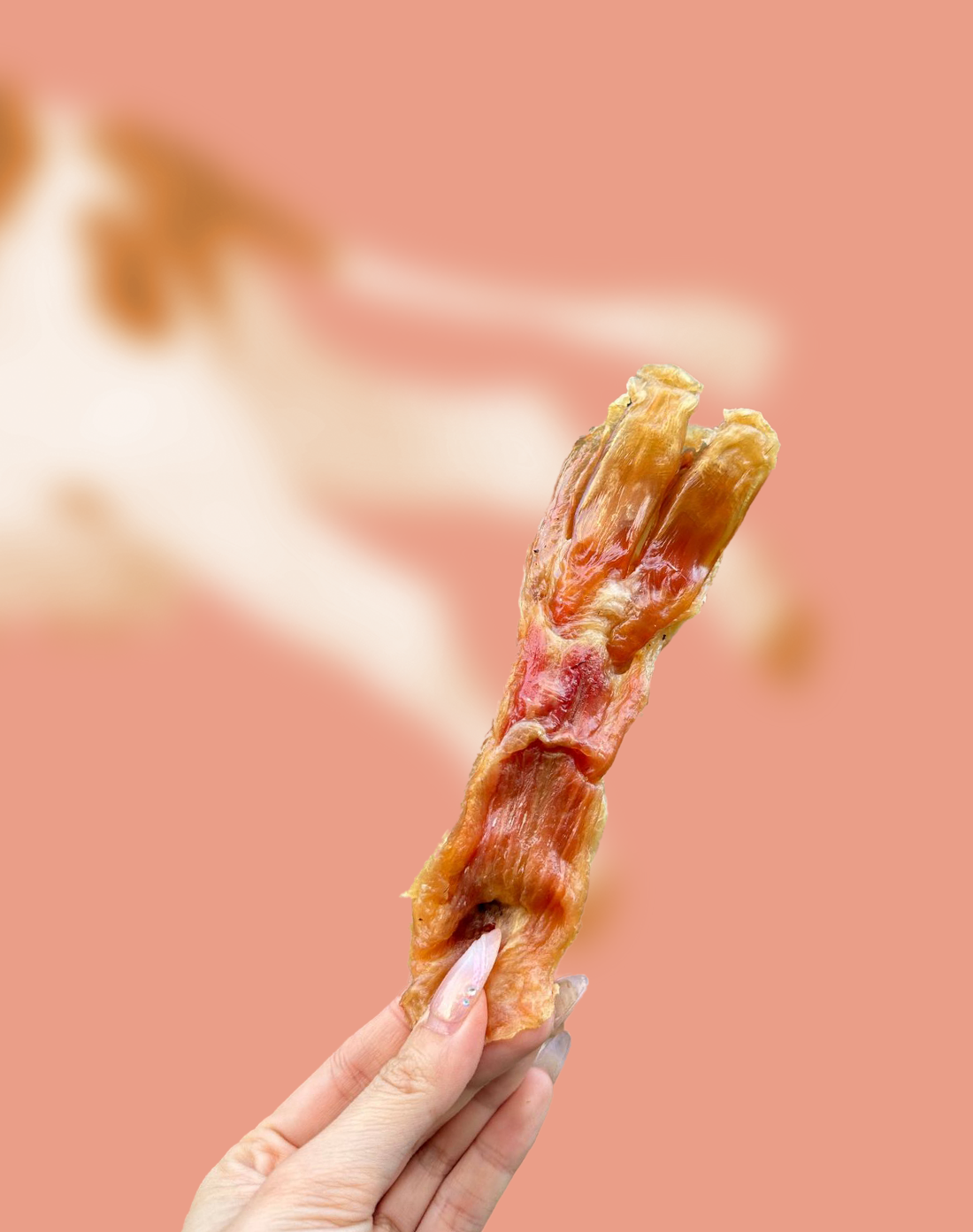 Beef Tendon Chews