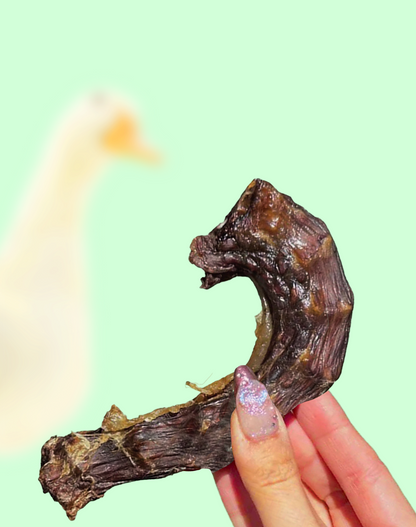 Duck Neck Chews