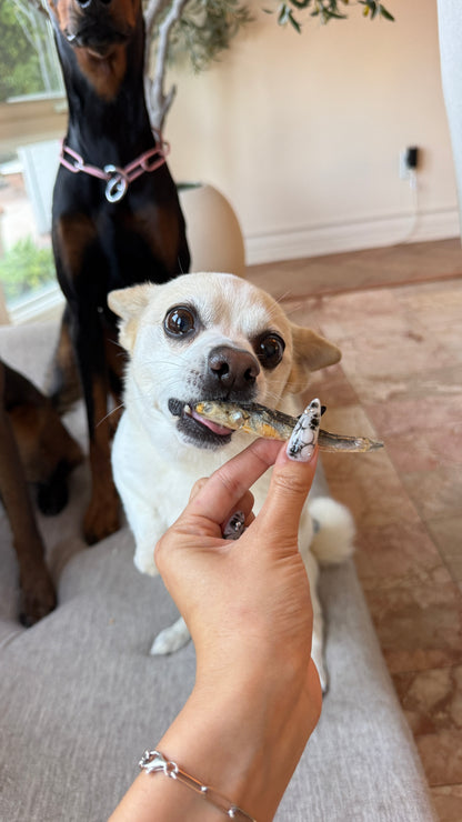 Freeze-Dried Whole Prey Anchovies