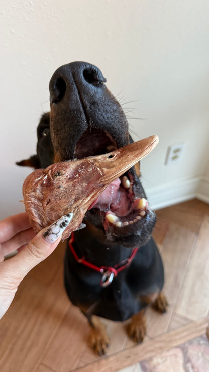Freeze-Dried Duck Heads