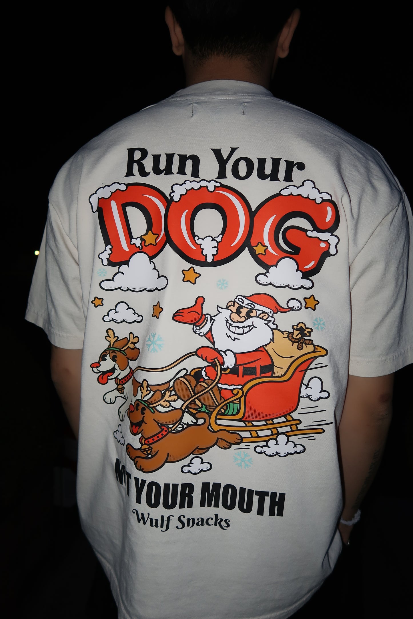 Run Your Dog Holiday Edition T-Shirt