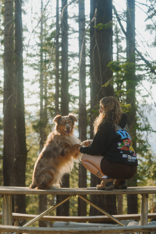 Run Your Dog Hoodie
