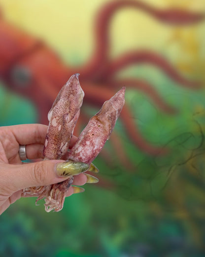 Ancient Octopods (Freeze-Dried Squid)