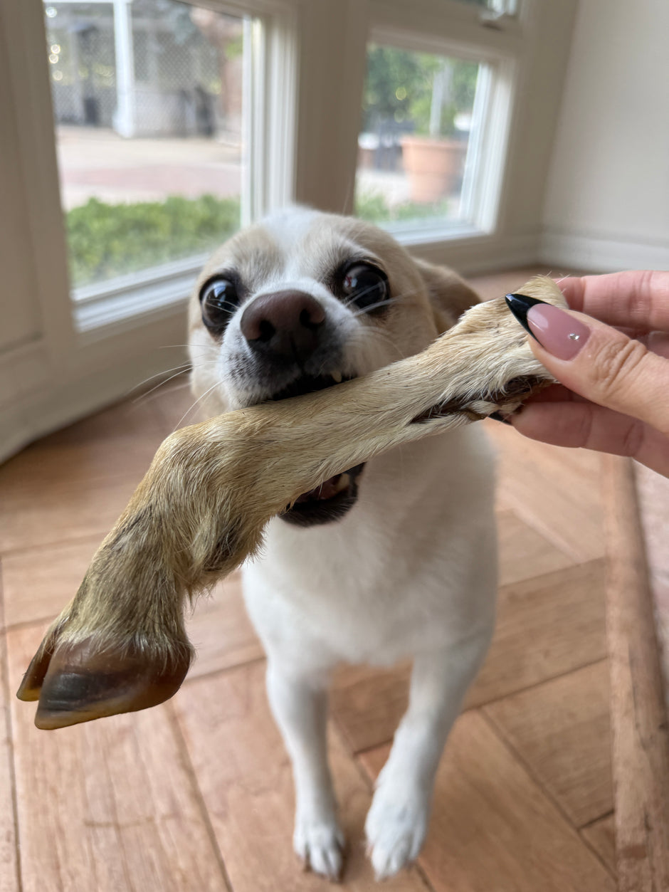 Products – Wulf Snacks