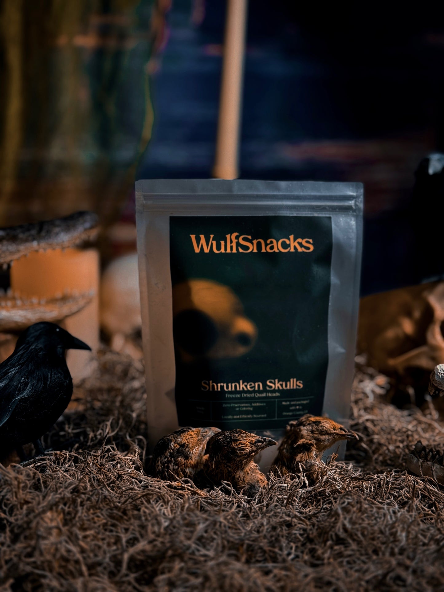 Shrunken Skulls (Freeze Dried Quail Heads)