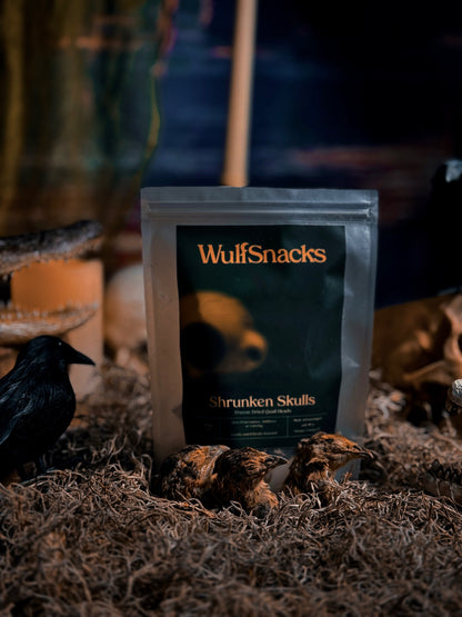 Shrunken Skulls (Freeze Dried Quail Heads)