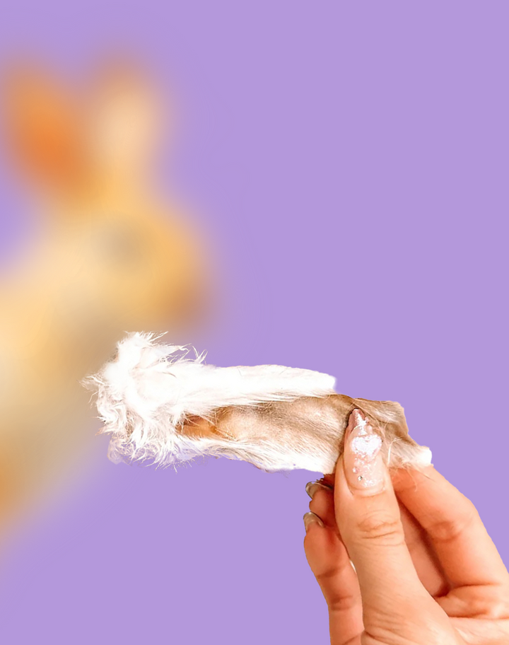 Treats – Wulf Snacks