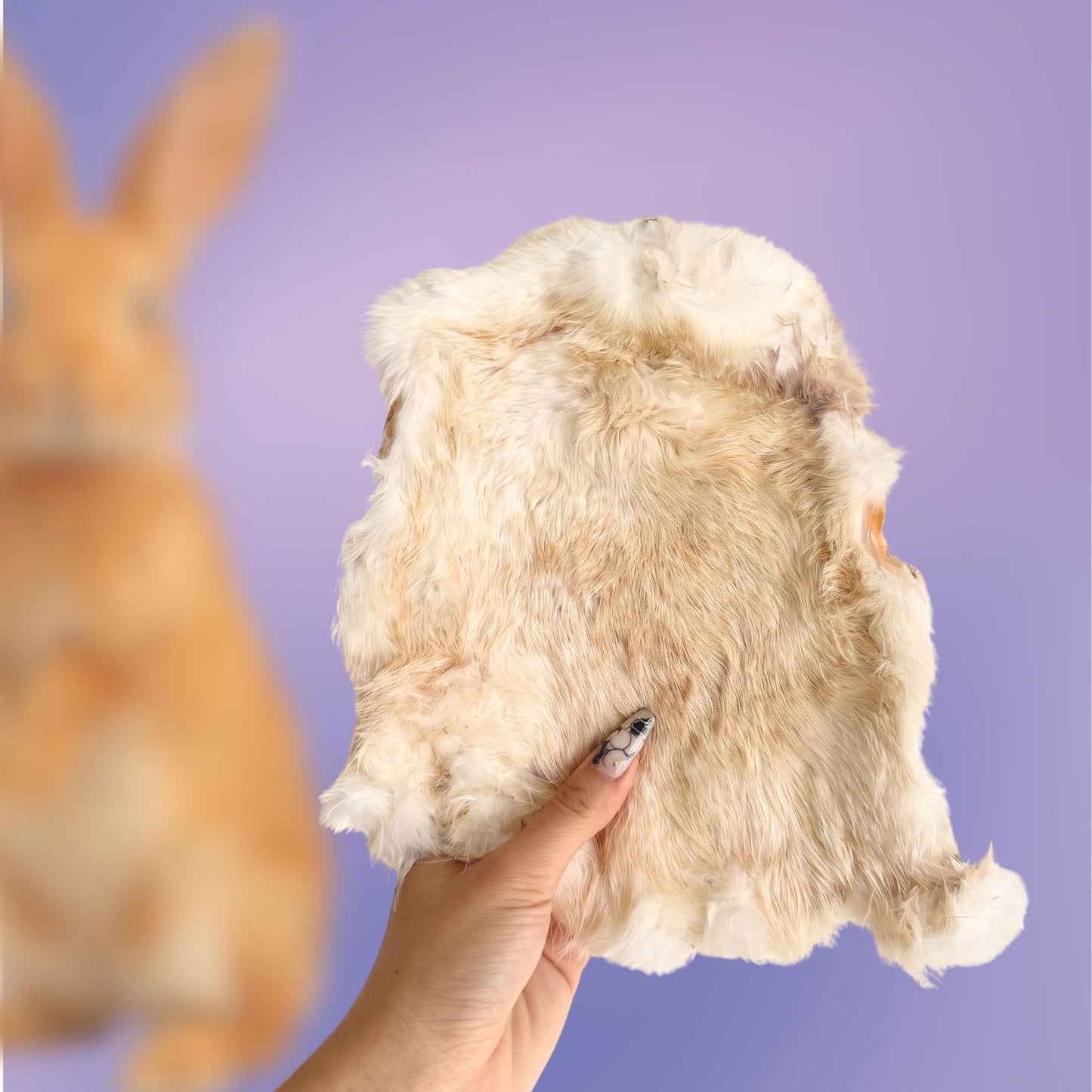 Bunny Board