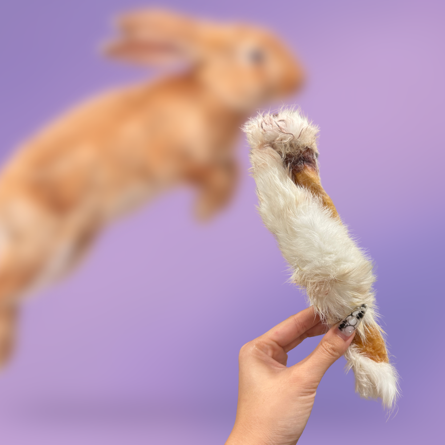Bunny Rolls