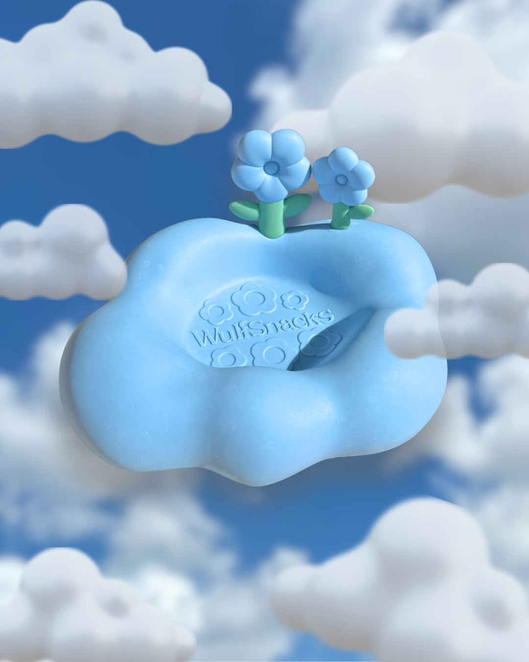 Tail in the Clouds Box