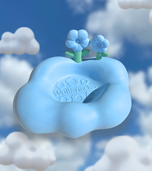 Cloud9 Bowl