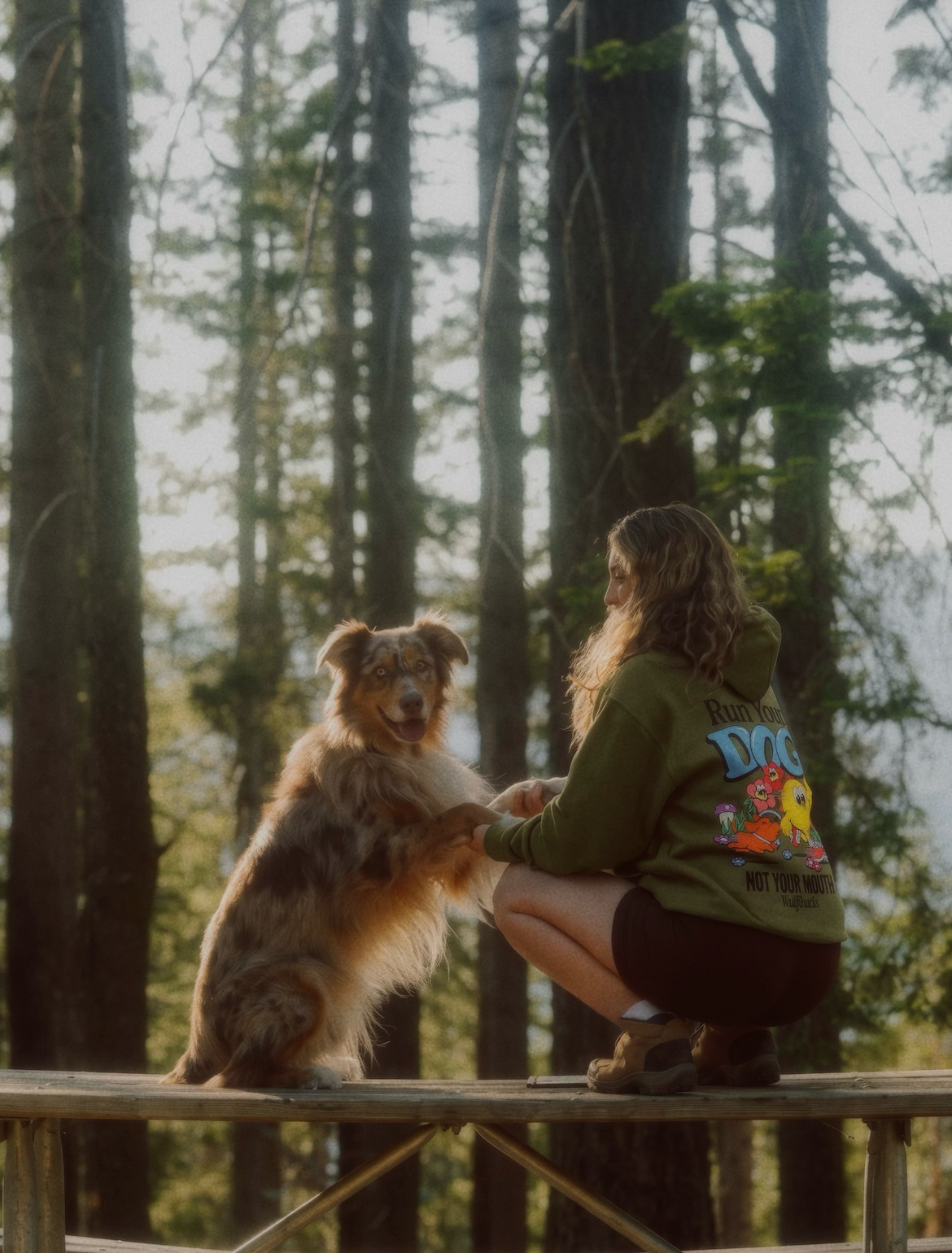 Run Your Dog Hoodie